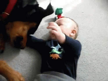 Baby in Blue Dinosaur Shirt Next to Dog