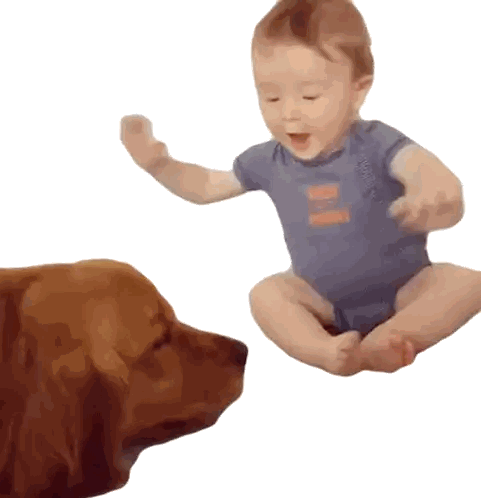 Baby in Blue Nike Shirt Sitting Next to Brown Dog