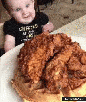 Baby in Cheetah Shirt Looking at Fried Chicken and Waffles