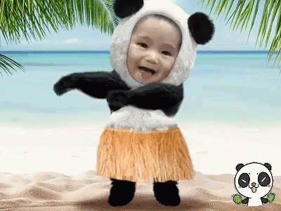 Baby in Panda Costume and Hula Skirt on Beach