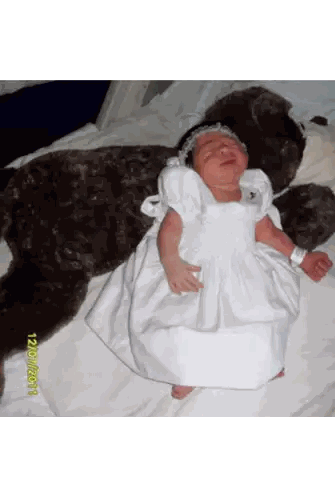Baby Laying Next To Teddy Bear