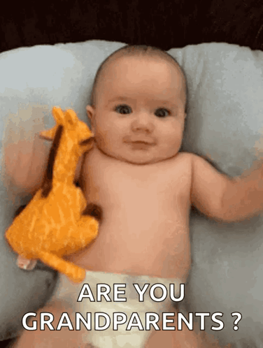 Baby Laying on Pillow Holding Giraffe