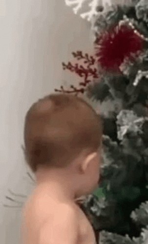Baby Looking at Christmas Tree