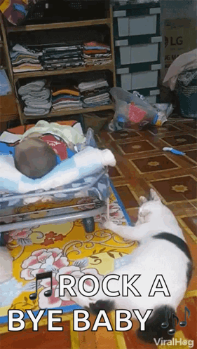 Baby Lying in Crib Next to Cat