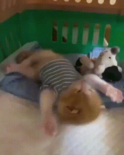 Baby Lying On Back With Stuffed Animal GIF