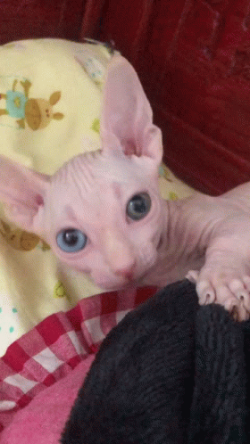 Baby Making Sad Face Held in Arms