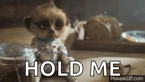Baby Meerkat Sitting With Hold Me