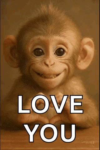 Baby Monkey Making Heart Love You
