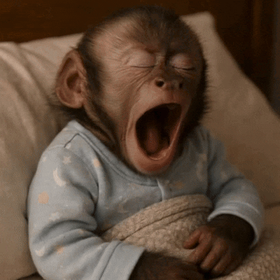 Baby Monkey Yawning In Blue Shirt GIF