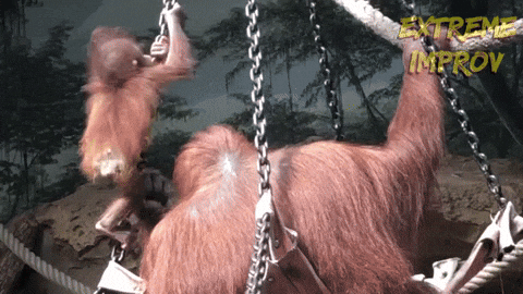 Baby Orangutan Monkey Climbing Up GIF