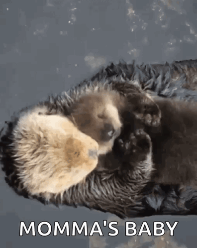Baby Otter Lying on Mother