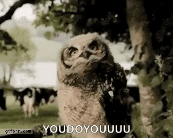 Baby Owl Next To Tree Looking At Camera GIF