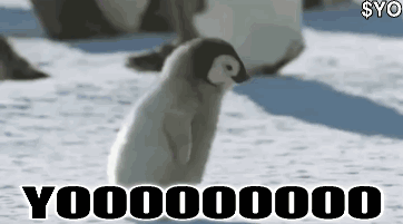 Baby Penguin in Snow Yoooooo000