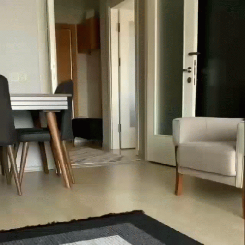 Baby Phoebe Running Around GIF
