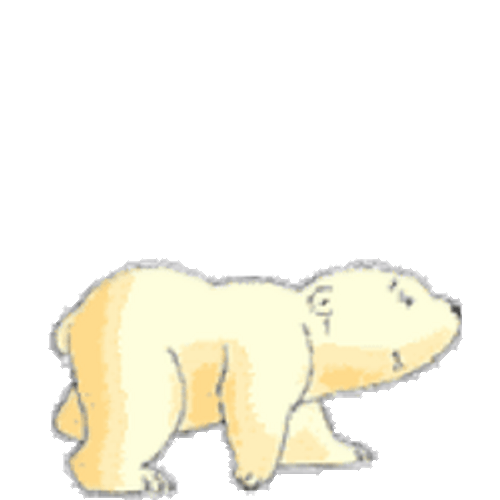Baby Polar Bear Walk GIF