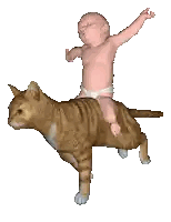 Baby Riding Cat's Back
