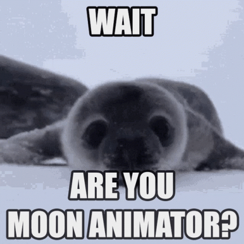 Baby Seal Crawling Towards The Camera GIF