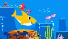 Baby Shark Top Song GIF