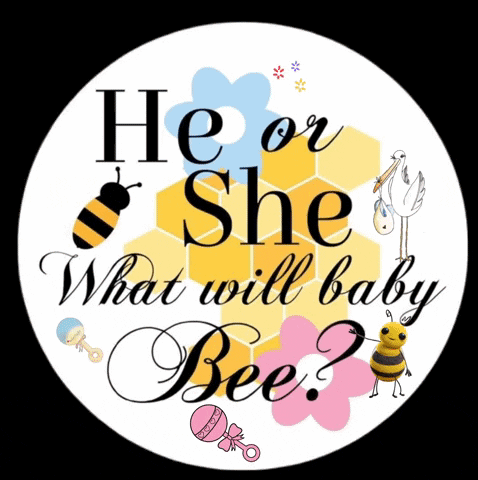 Baby Shower What Will Baby Bee GIF