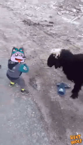 Baby Smashing The Goat Meme GIF