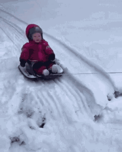 Baby Snow Gliding GIF