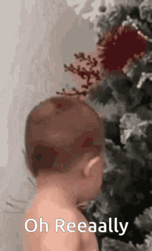 Baby Standing Before Christmas Tree with Oh Reeally