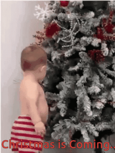 Baby Standing in Front of Christmas Tree With Christmas Is Coming