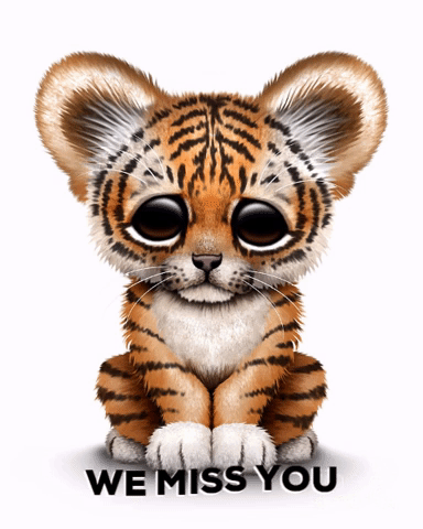 Baby Tiger We Will Miss You GIF