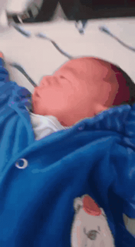 Baby Wrapped in Blue Blanket With Teddy Bear
