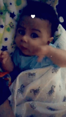 Baby Wrapped In Zebra Blanket Looks At Camera GIF