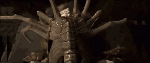 Baby Xenomorph On The Face GIF