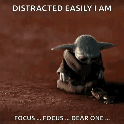 Baby Yoda and Frog Distracted Easily I Am