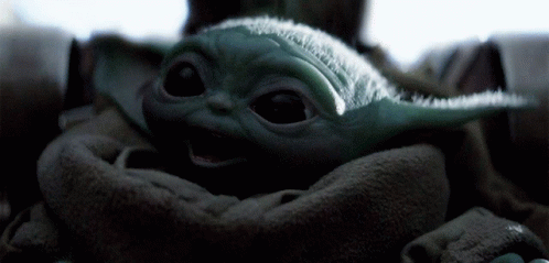 Baby Yoda Being Held in Blanket
