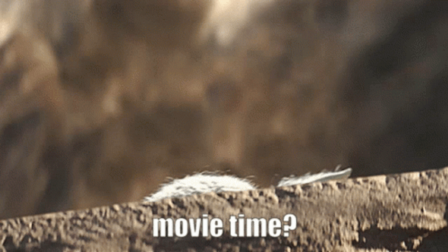 Baby Yoda Movie Time GIF
