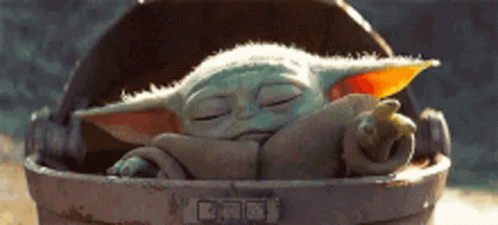 Baby Yoda Sleeping in Bucket