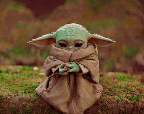Baby Yoda Wrapped in Blanket