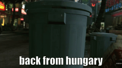 Back From Hungary Yakuza Majima GIF