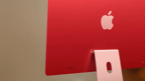Back of Red Apple Computer Monitor