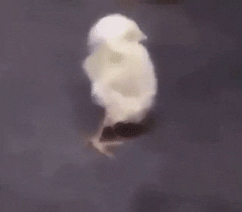 Back Pain 498 X 437 Gif GIF