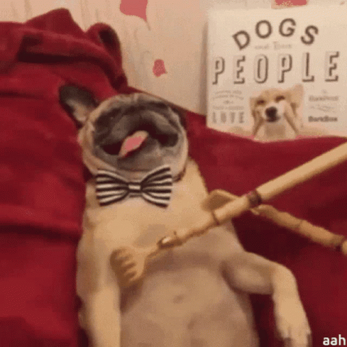 Back Scratcher Pug So Full GIF