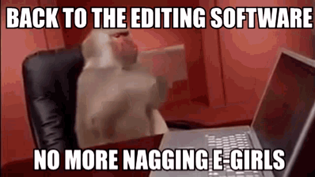 Back To Edit Software Monkey GIF
