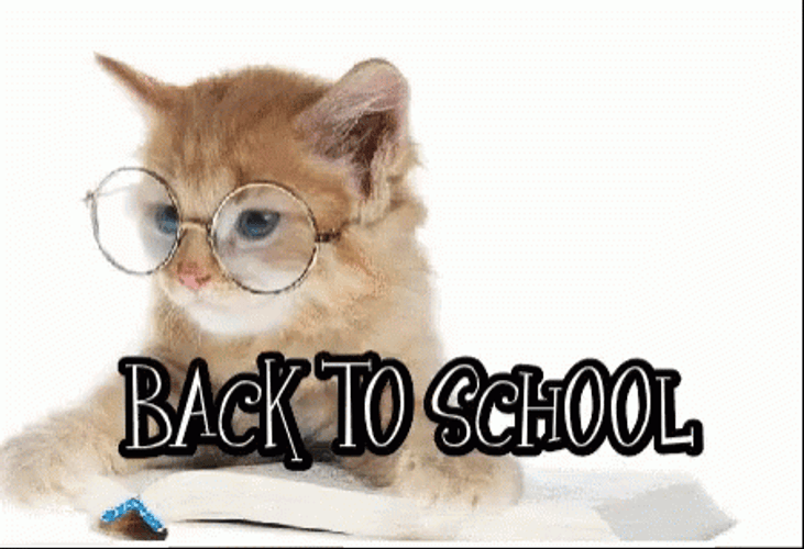 Back To School Kitty GIF
