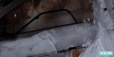 Back To The Future Dog Inside Delorean GIF