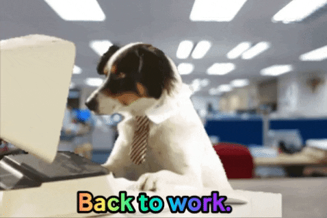 Back To Work Cute Dog On Computer GIF