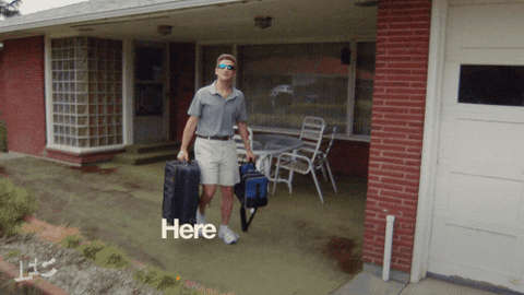 Back To Work Tim Robinson GIF
