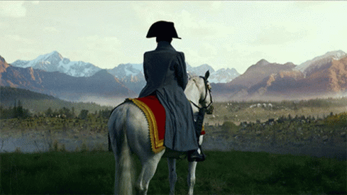 Back View Of Napoleon Meme GIF