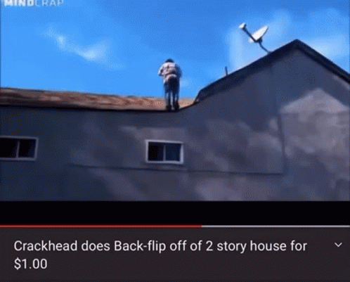 Backflip Crazy Crackhead Unharmed GIF