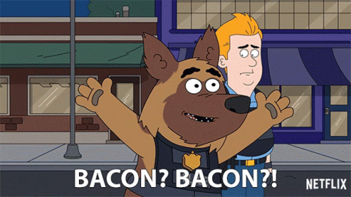 Miguel The Grizzly Bear Looking For Bacon GIF