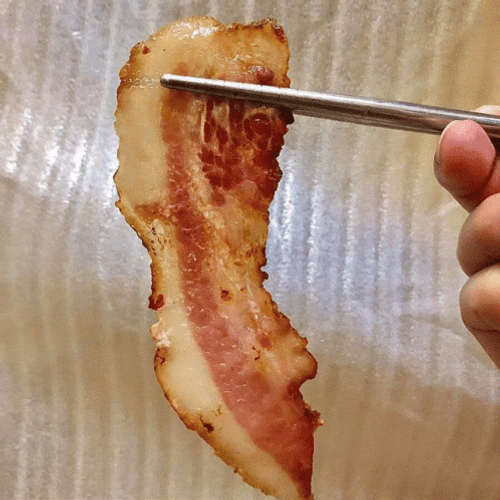 Bacon GIF