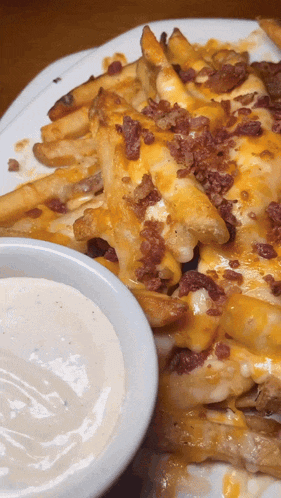 Bacon Cheese Fries Food Gif GIF